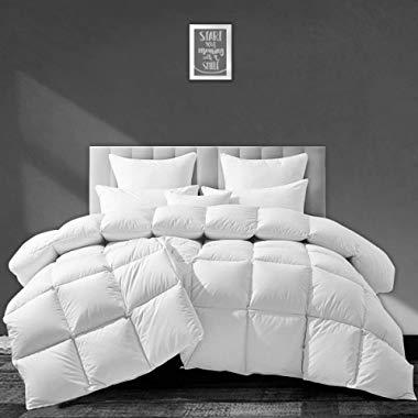 APSMILE European Goose Down Comforter King Size Luxurious All Seasons Duvet Insert -1600TC Ultra-Soft Egyptian Cotton, 55 Oz 750 Fill Power Fluffy Medium Warmth, Solid White