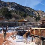 Cheyenne Mountain Zoo