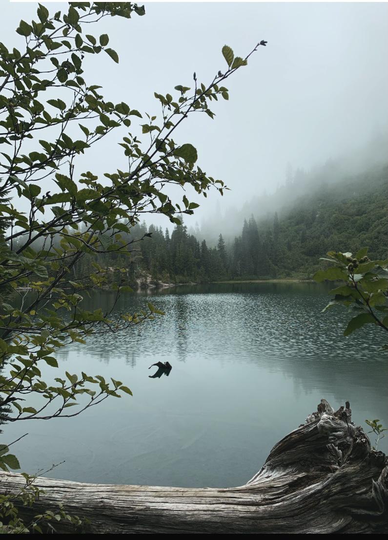 Bench Lake/ Snow Lake trail