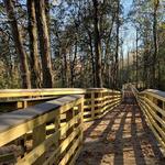 Forever Wild at Beaver Creek Trails