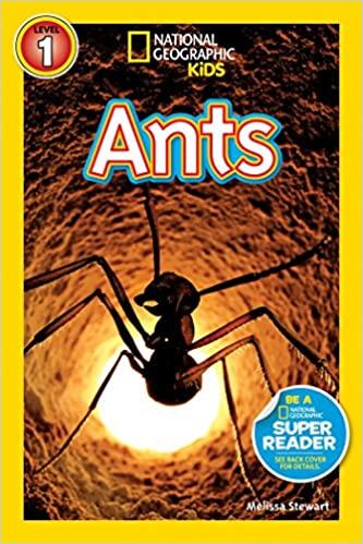 Ants Book
