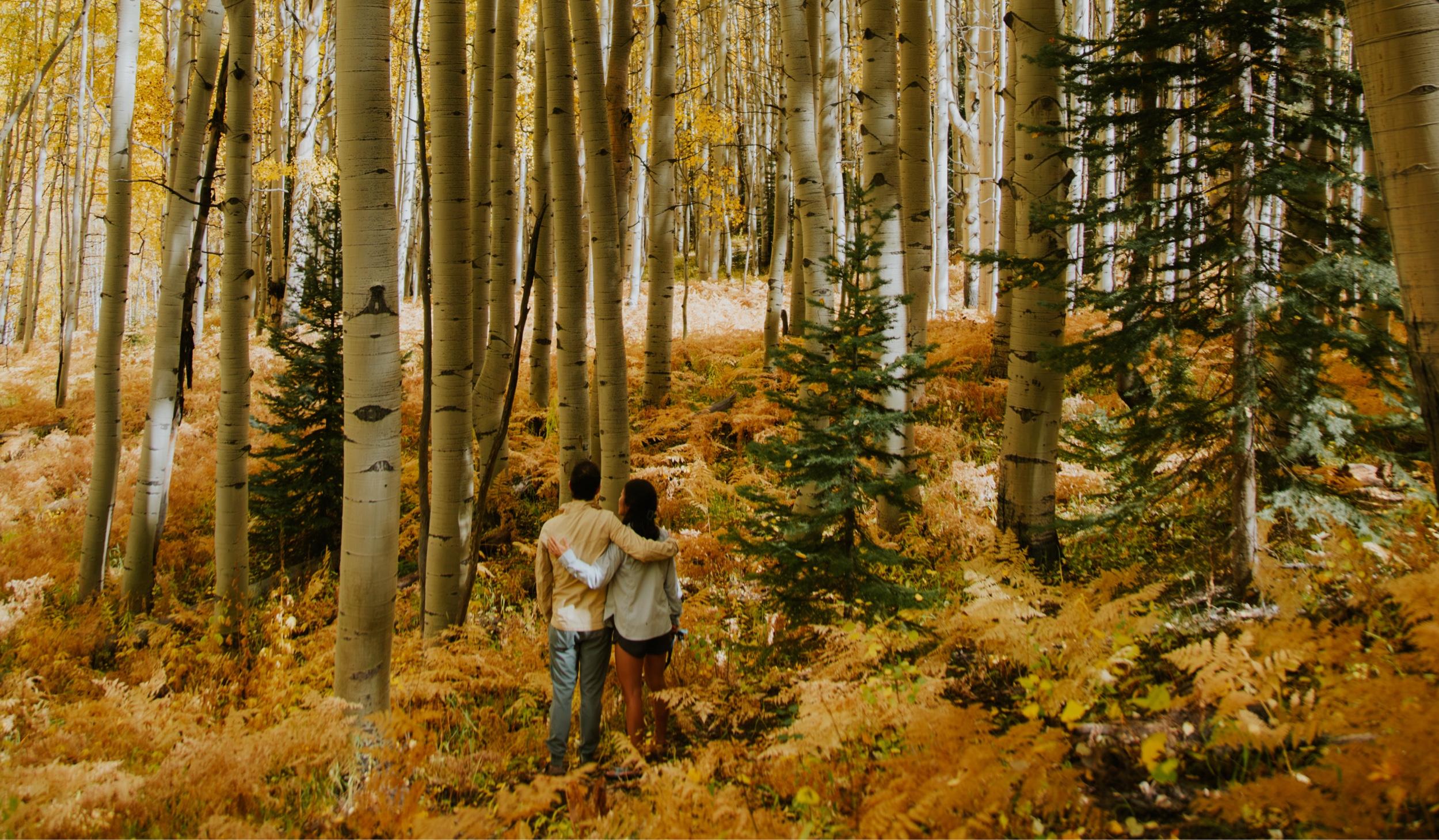 The Wedding Website of Maki Ishizu and Tucker Weems
