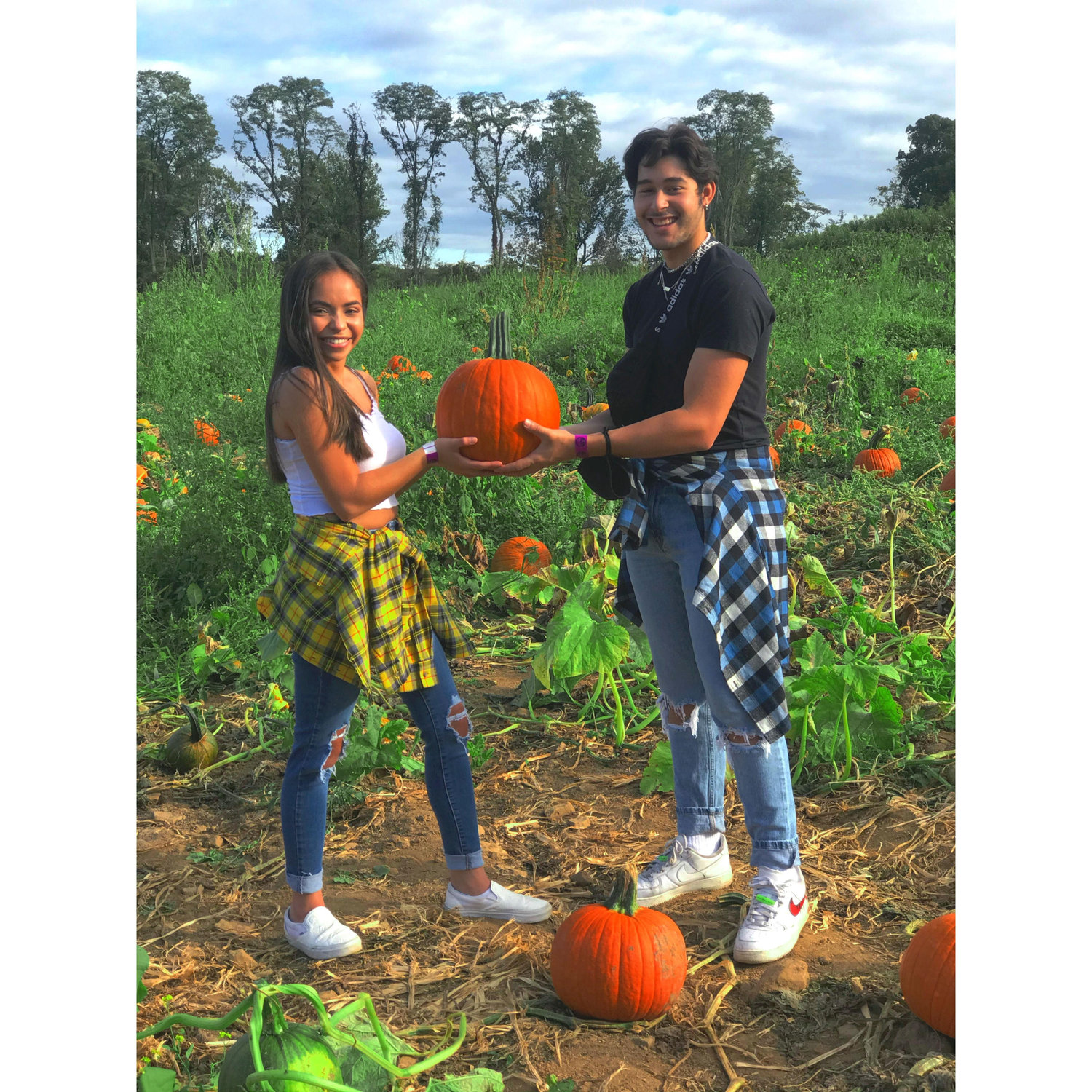 Pumpkin Patch !