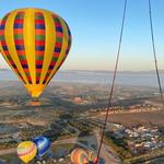 A Grape Escape Balloon Adventure