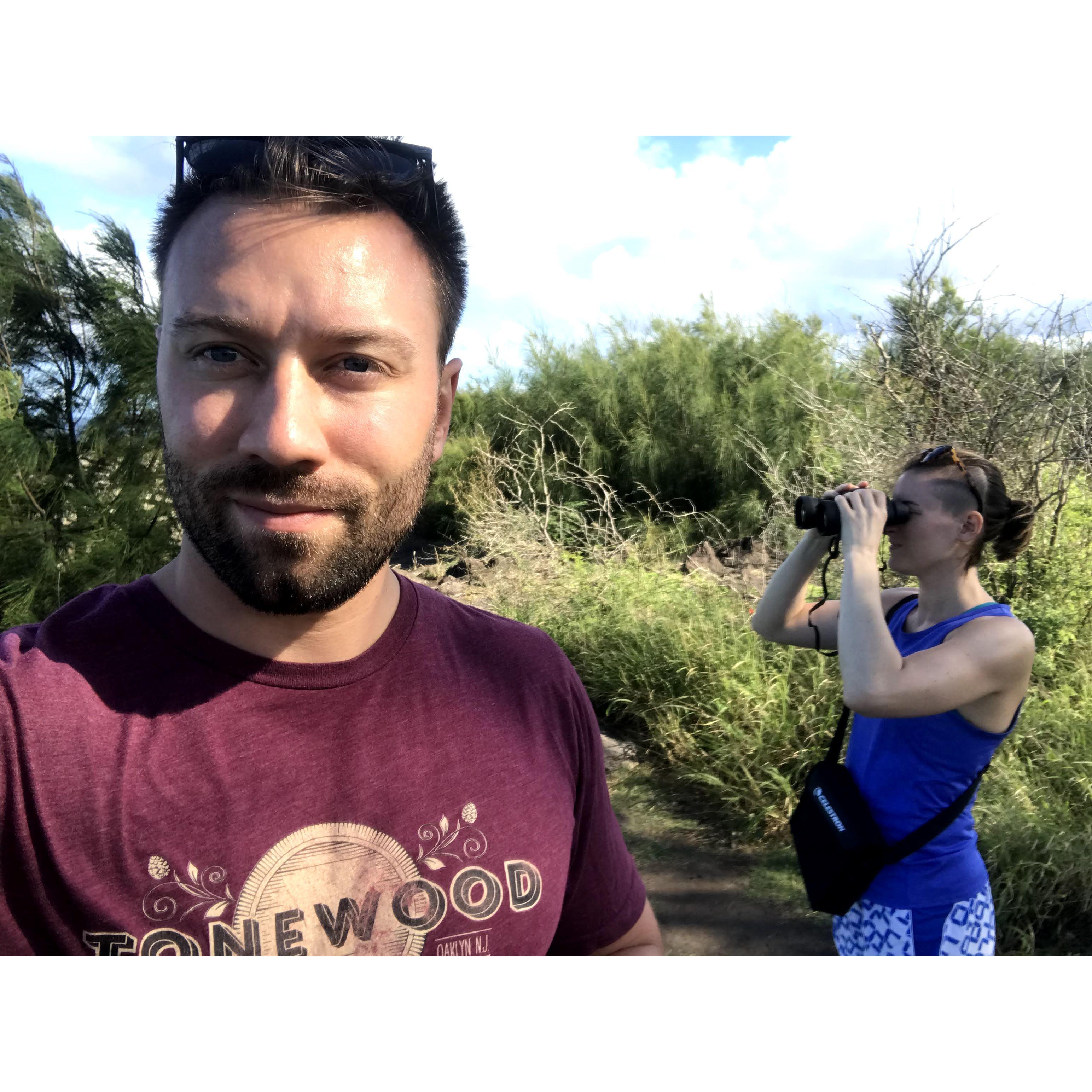 Whale watching in Maui
