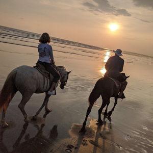 Horseback Riding on the Beach in Costa Rica