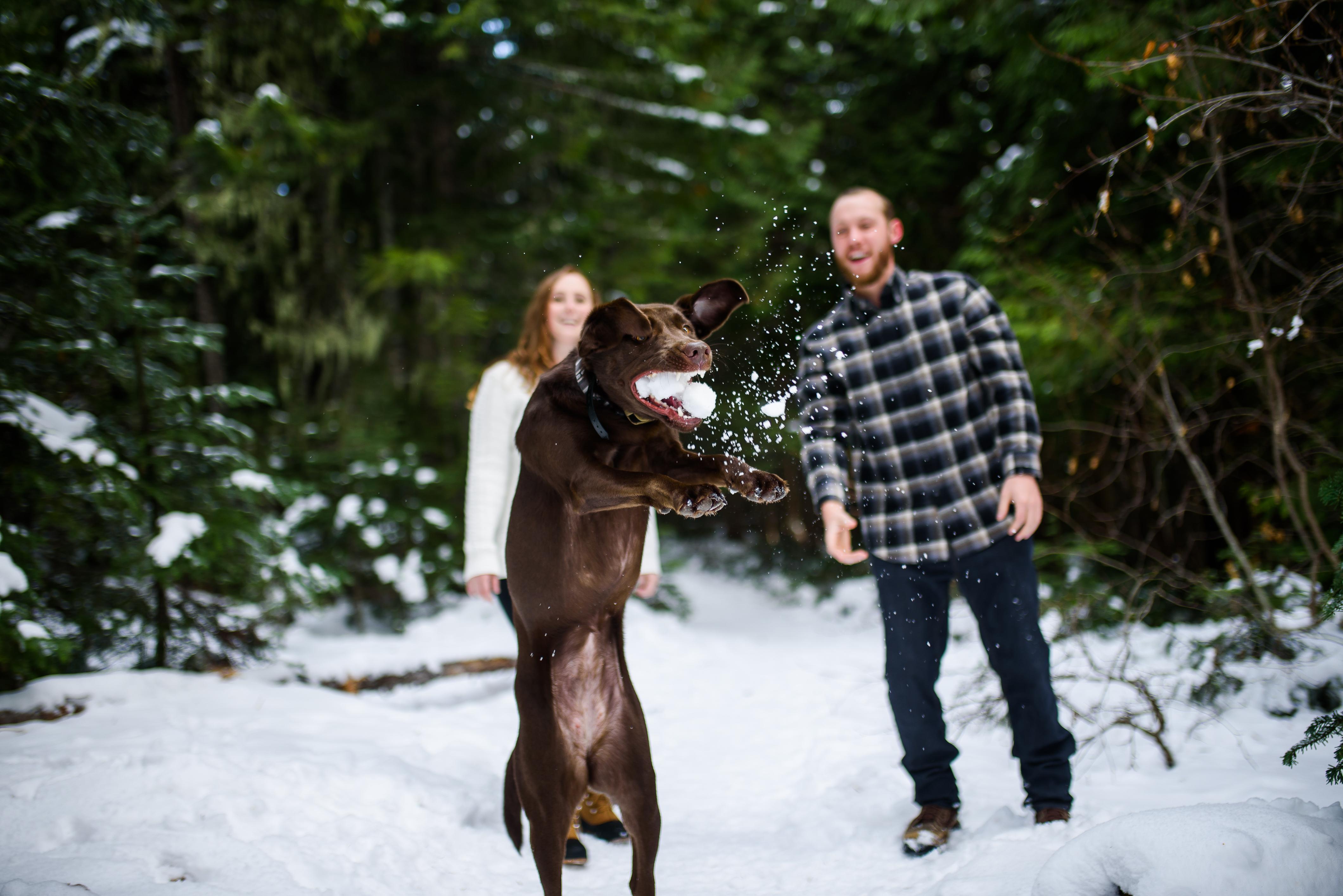The Wedding Website of Lindsey Shultz and Grant Allen