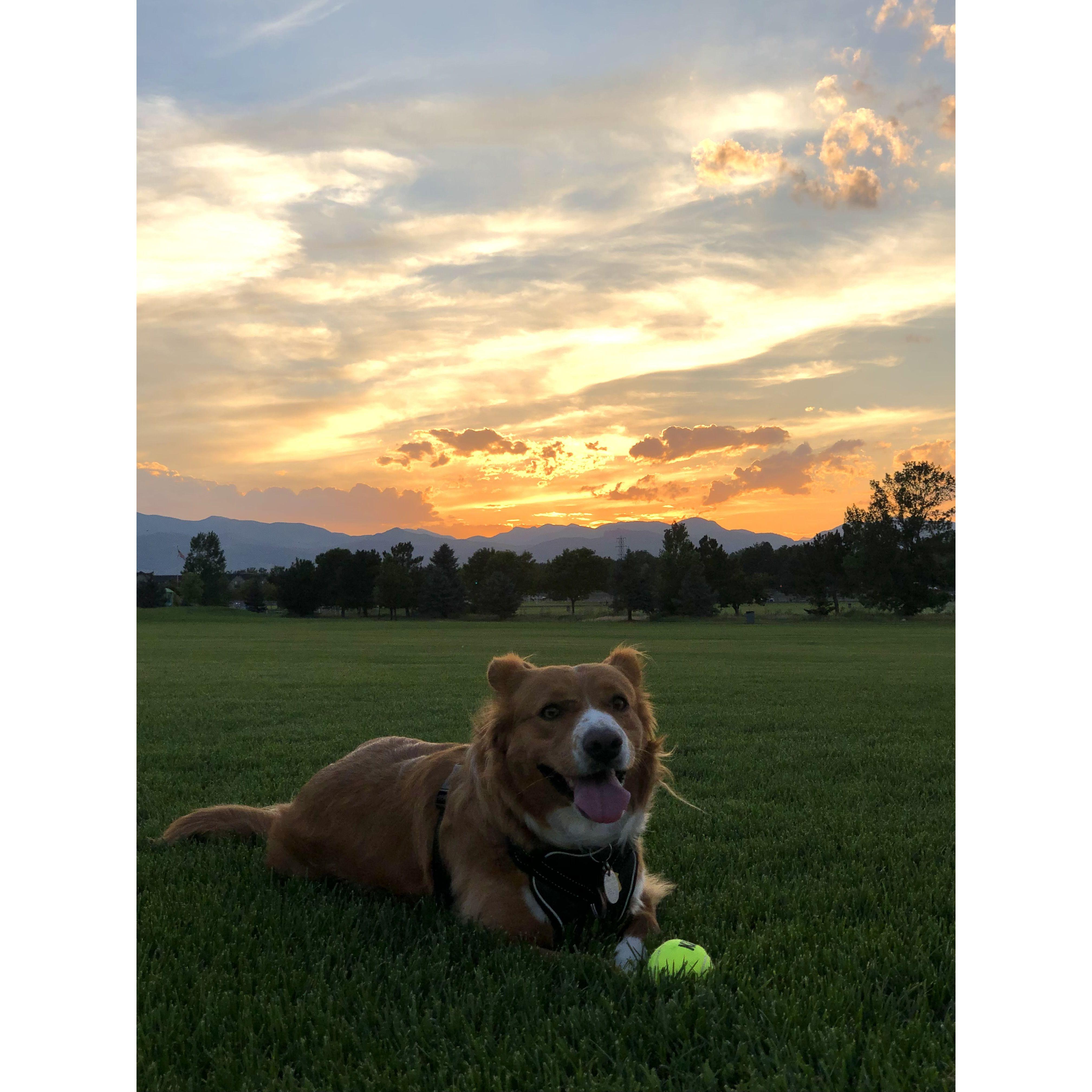 We never want to leave Arvada.