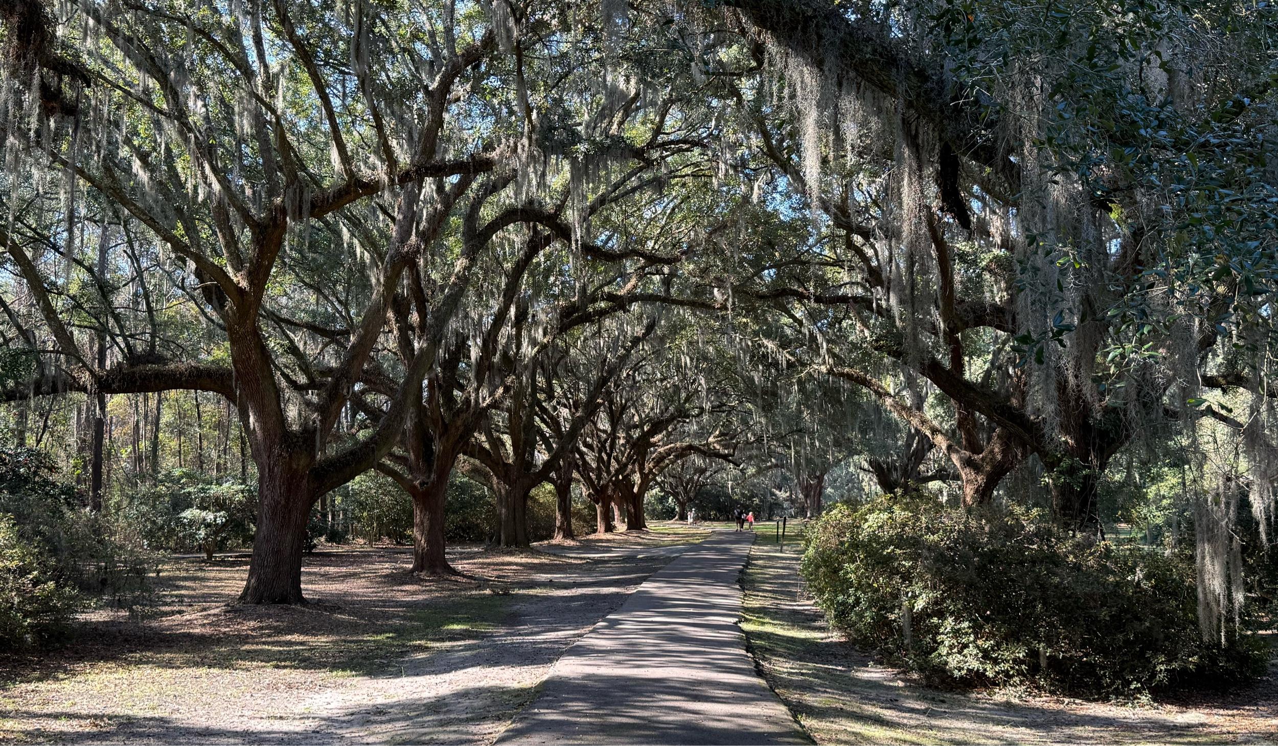 The Wedding Website of Joye Ullery and Matty Moore
