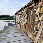 Cape Neddick Lobster Pound Harborside Restaurant