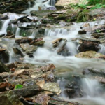 Dunnings Spring Park