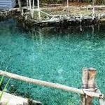 Reserva Ecológica El Corchito