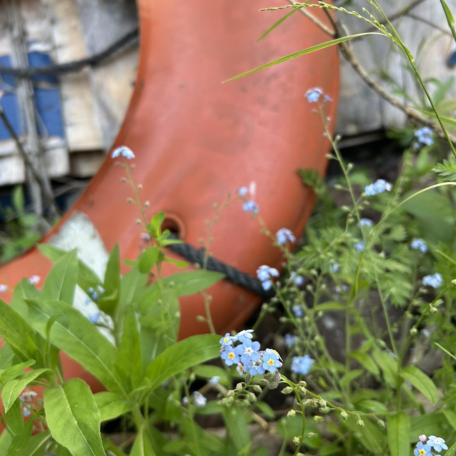 Copper Harbor Mini Golf