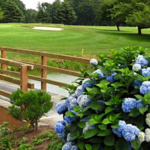 Golf: Green Valley Country Club