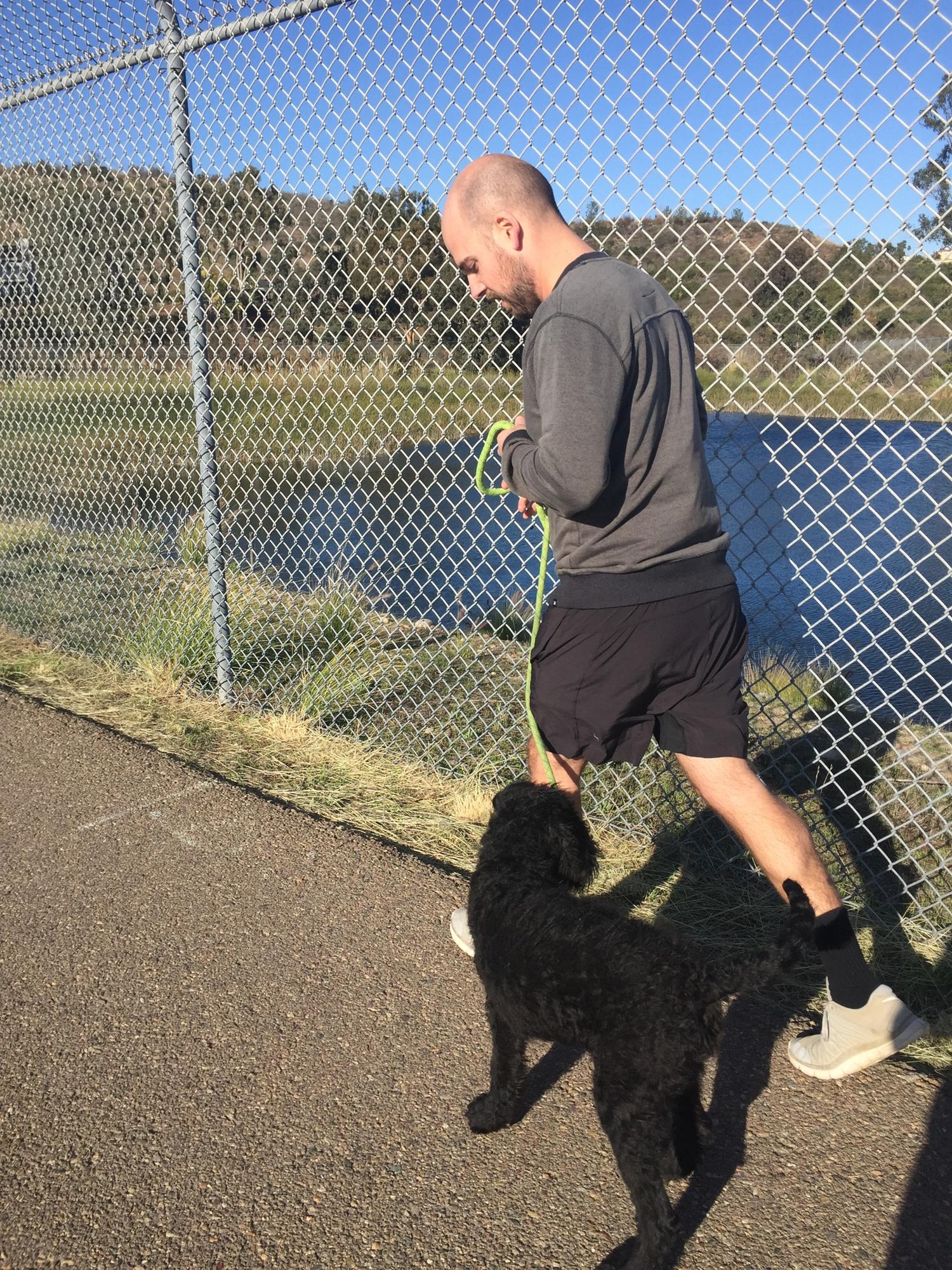 Starting out our relationship training a puppy.