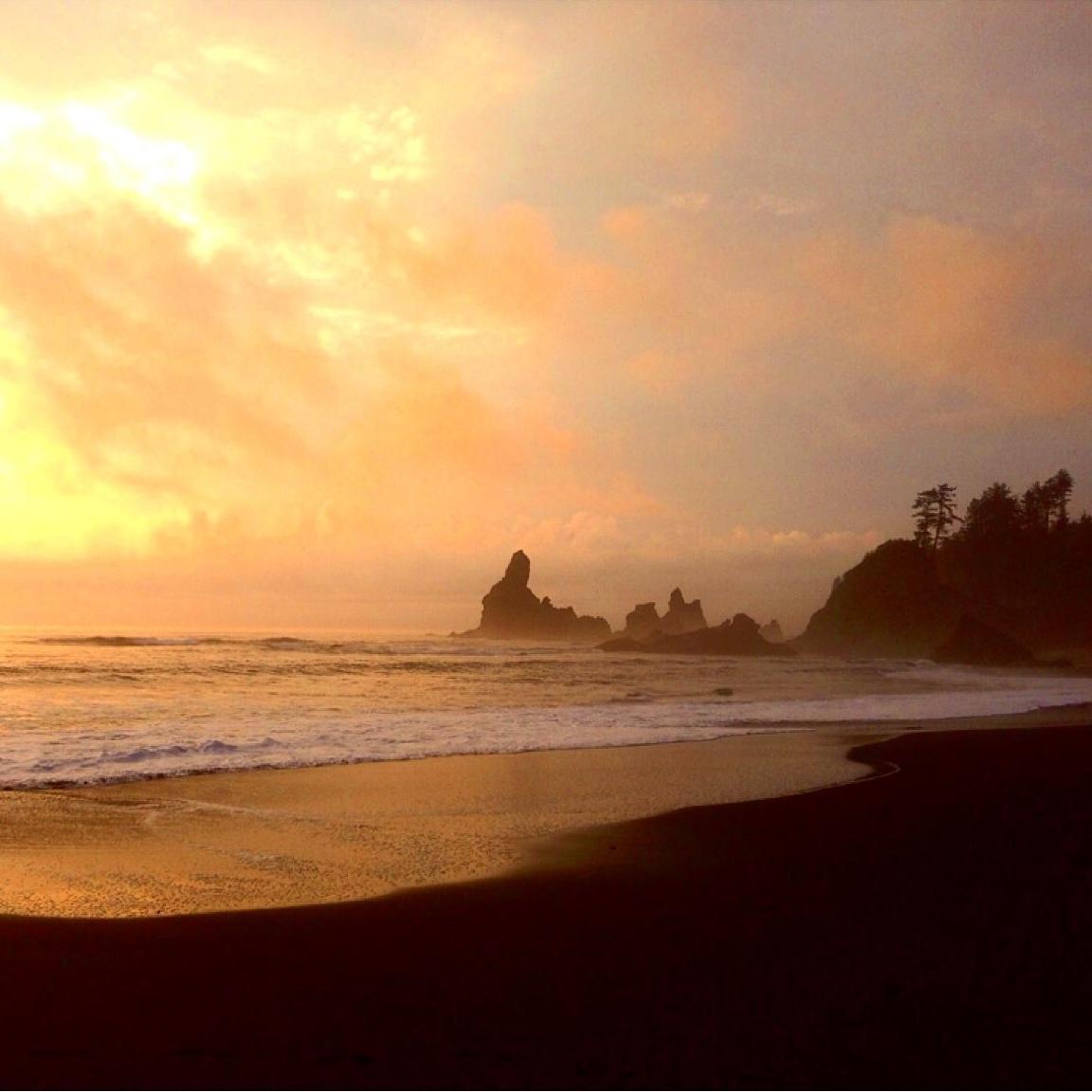 Exploring the beautiful Shi Shi Beach, WA