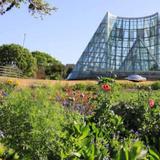 San Antonio Botanical Garden