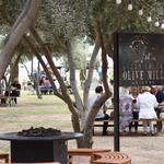 Queen Creek Olive Mill