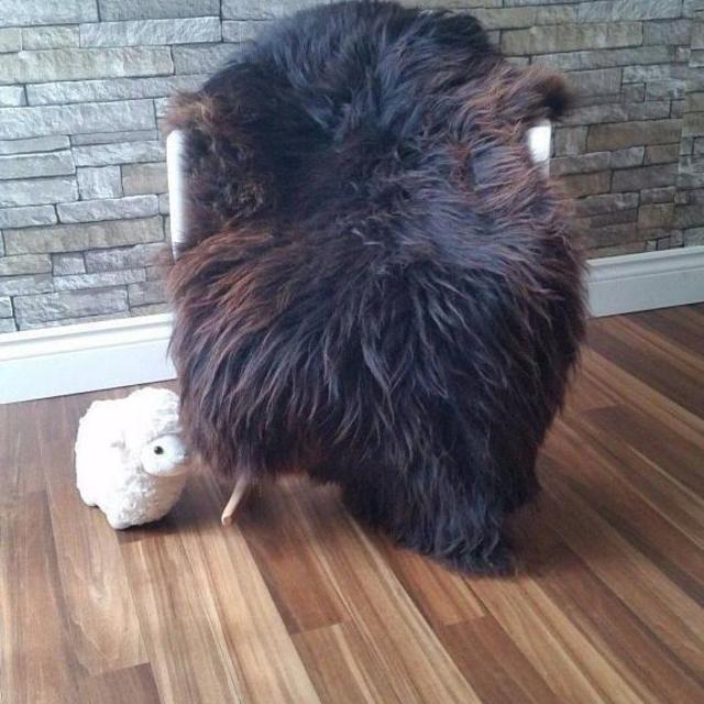 Genuine Sheepskin Rug Scandinavian rare color Soft long Wool 100% natural #831