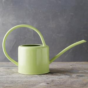 Popsicle Watering Can