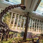 Carnegie Museum of Natural History