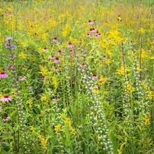 Garden fund