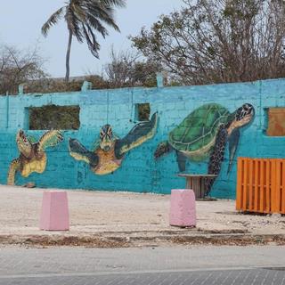 Art, Facts, & Baby Beach UTV Tour for 2 - Aruba