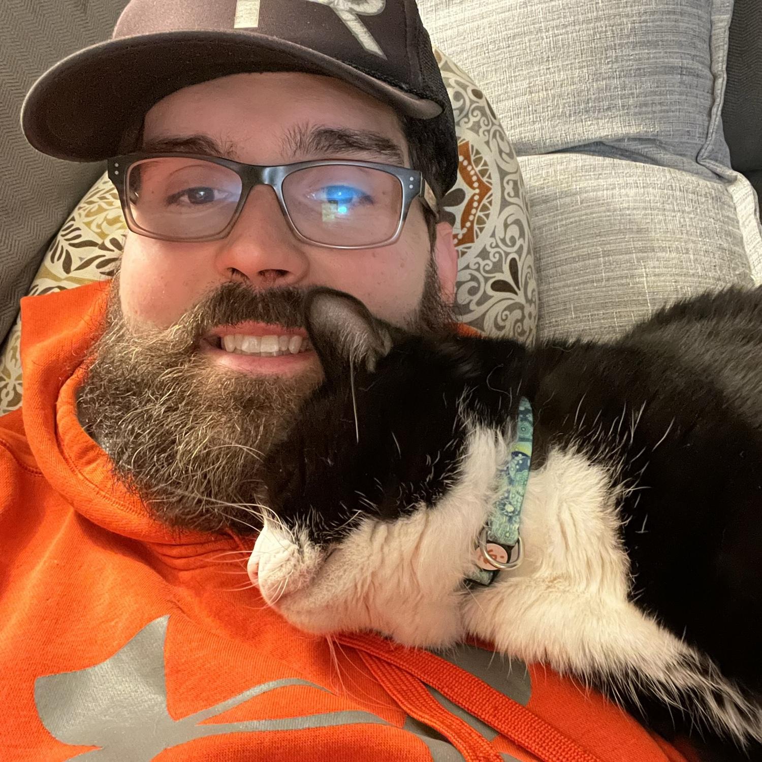 More Kitties
