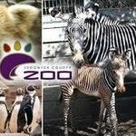 Sedgwick County Zoo