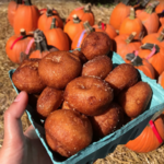 Indian Creek Farm