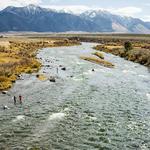 Fly Fishing