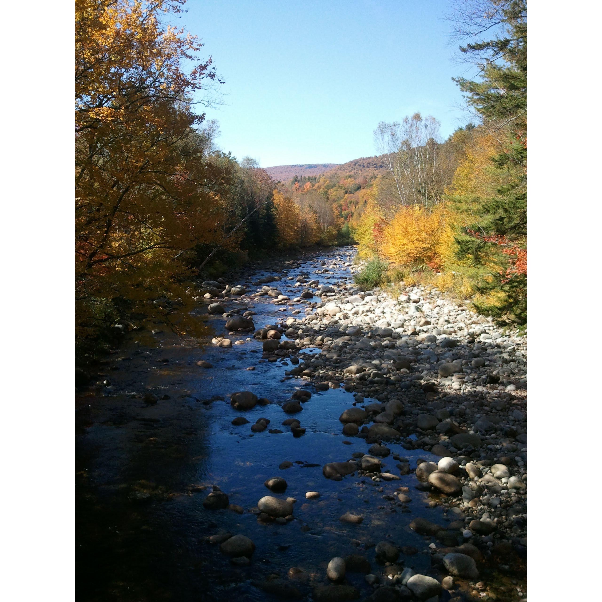 Our first camping trip to Bemis to fish