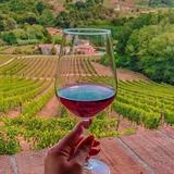 Local Wine