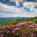Blue Ridge Parkway