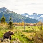 Alaska Wildlife Conservation Center