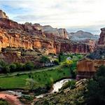 Capitol Reef National Park
