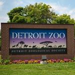 Detroit Zoo