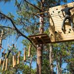 TreeUmph! Adventure Course