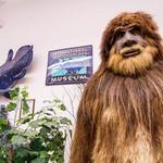 International Cryptozoology Museum
