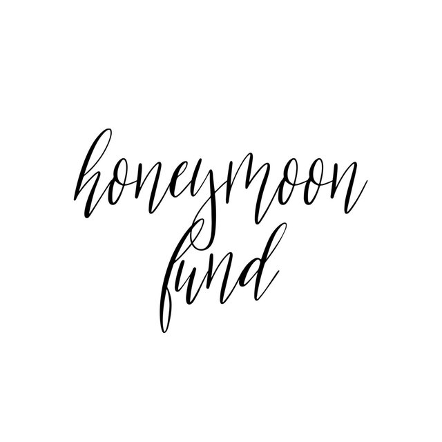 Our Honeymoon Fund