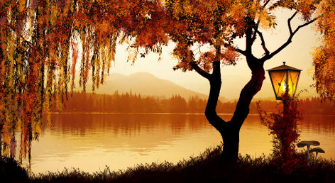Footer image