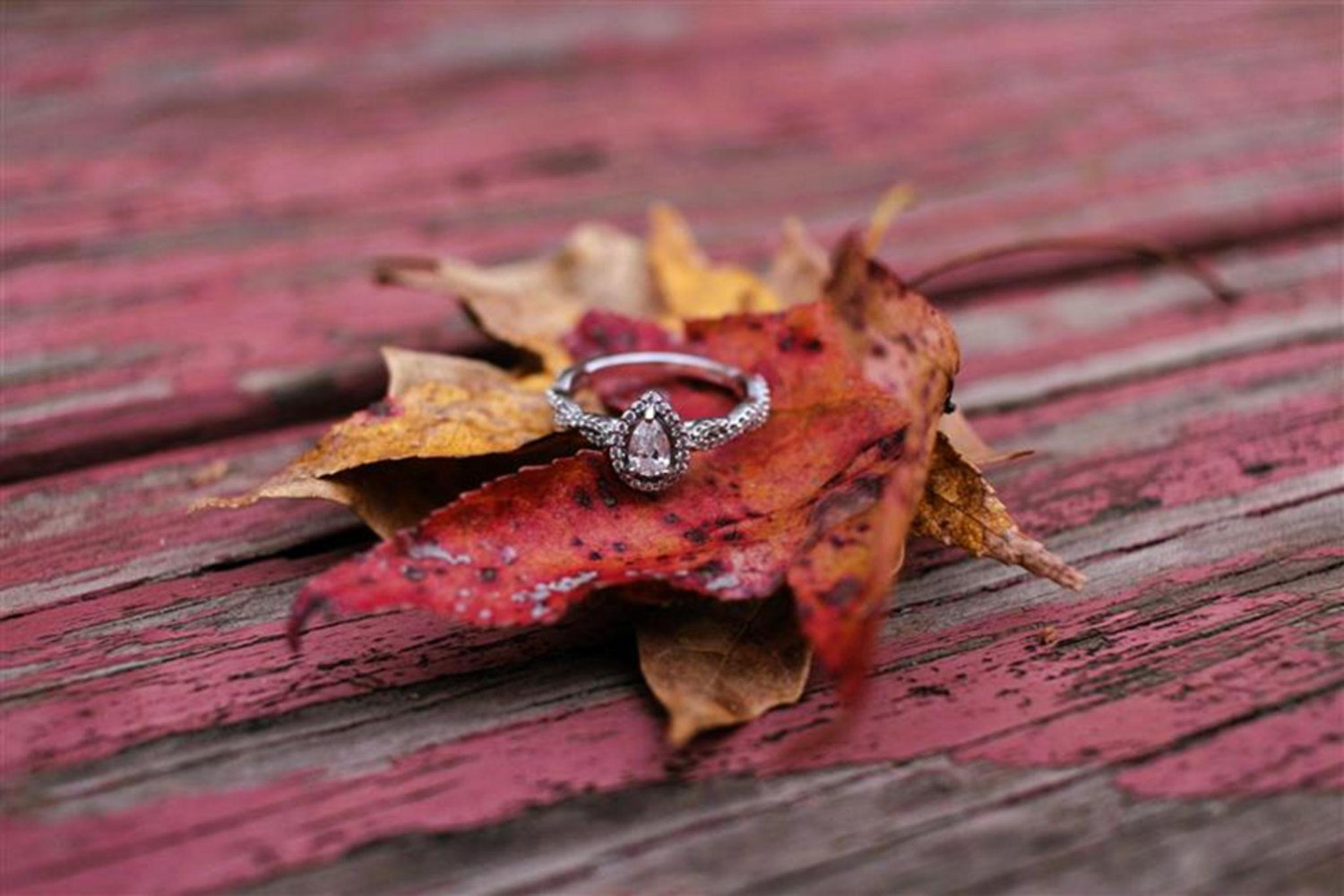 The Wedding Website of Brittany Gittman and Easton Reynolds