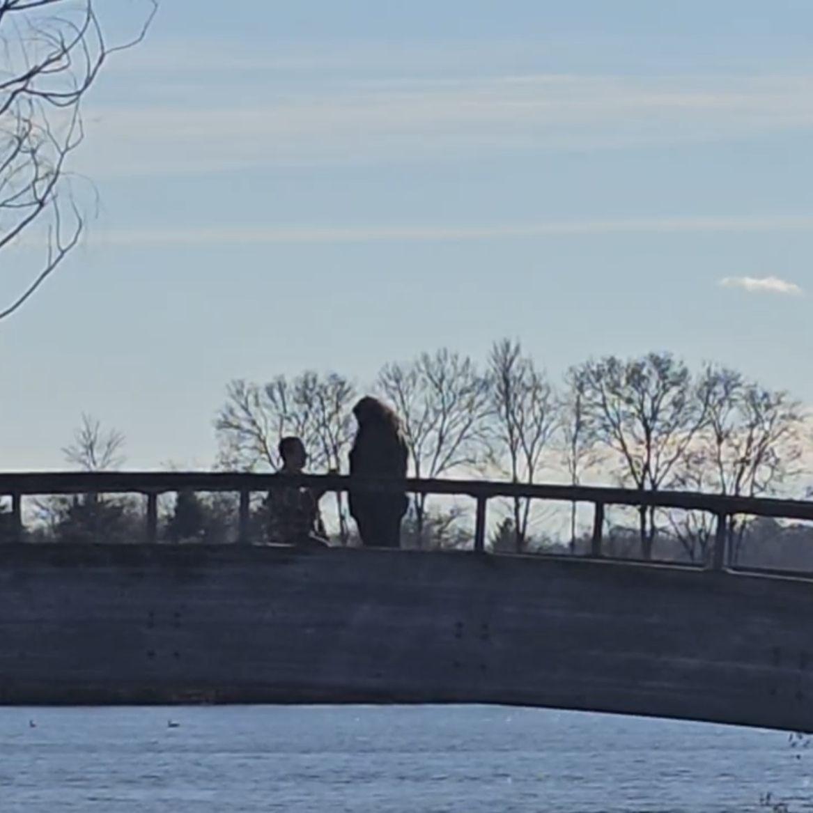 Mike proposing on a bridge at North Bay Park.