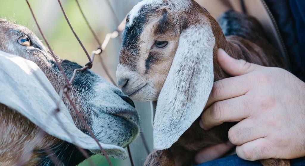 The Wedding Website of Ariel Kingsley and Jose Villa