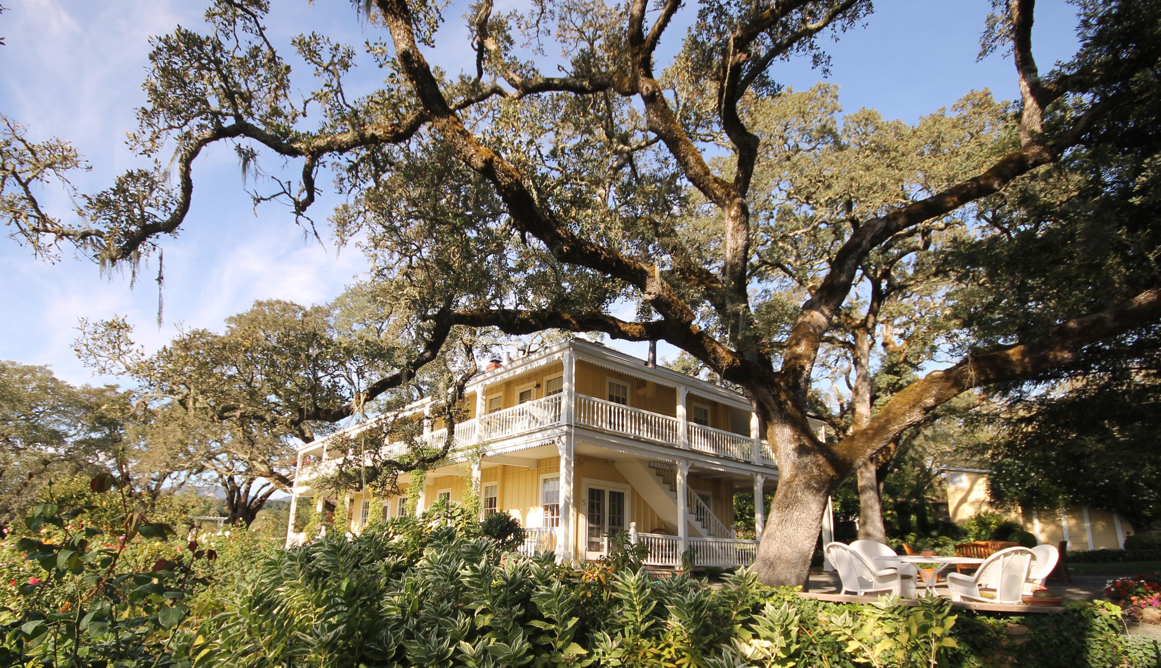 The Wedding Website of Eden Stiffman and Andrew Kaback