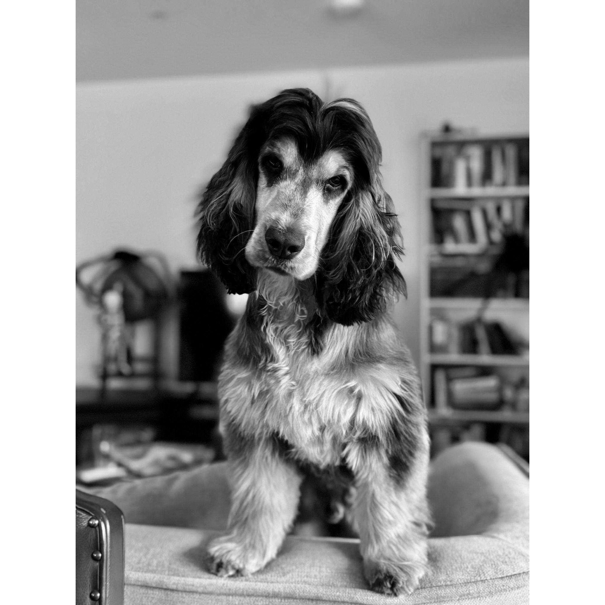 Tennyson
