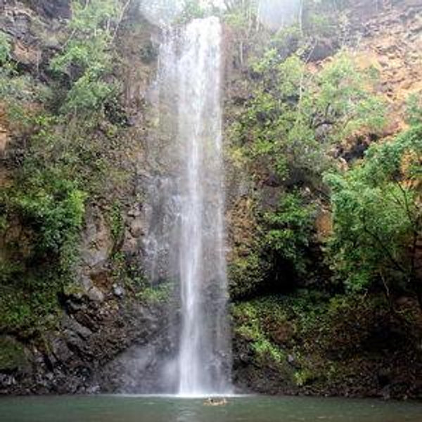 Secret Falls Kayak/Hiking Tour
