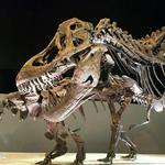 Houston Museum of Natural Science