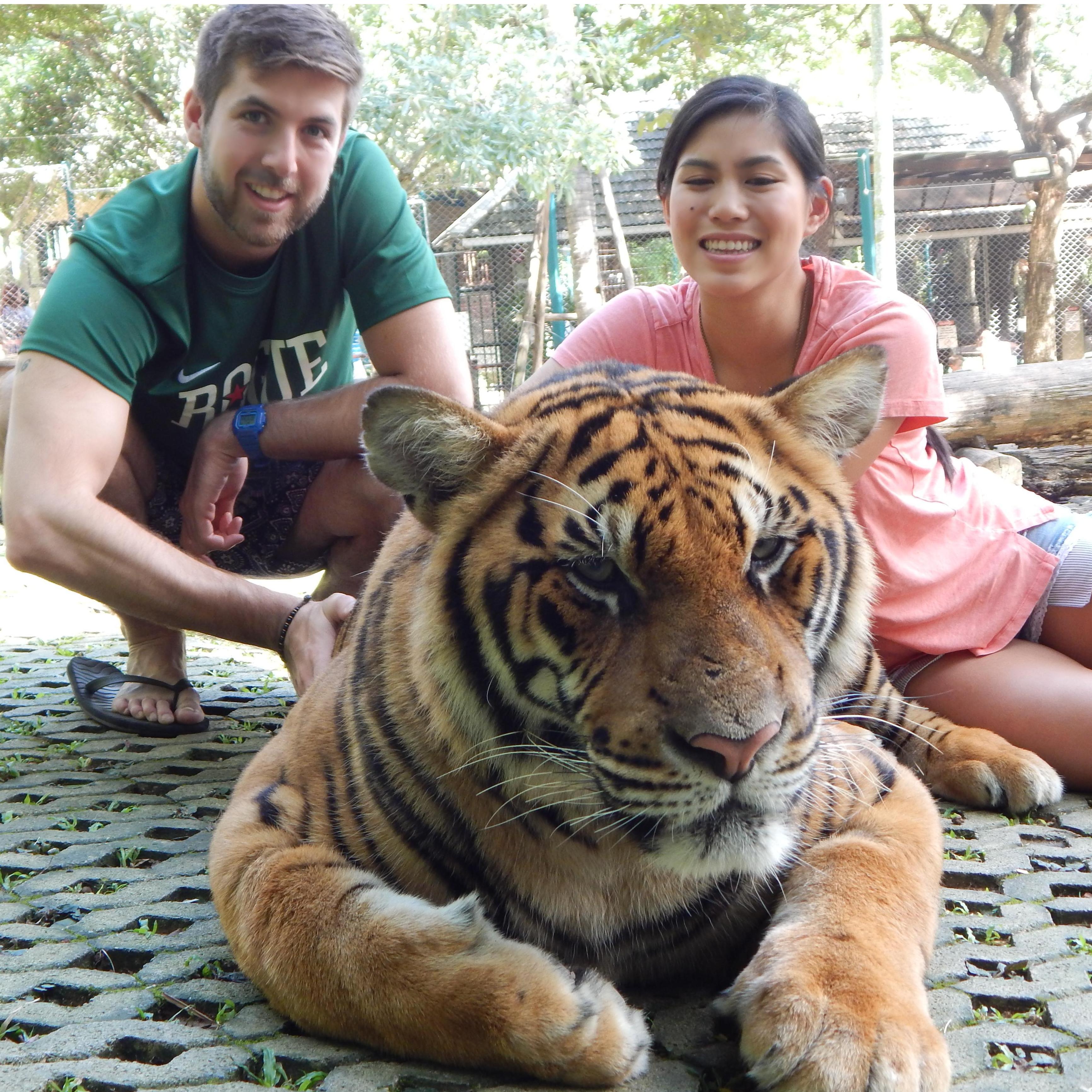 Playing with tigers in Chaing Mai, Thailand.