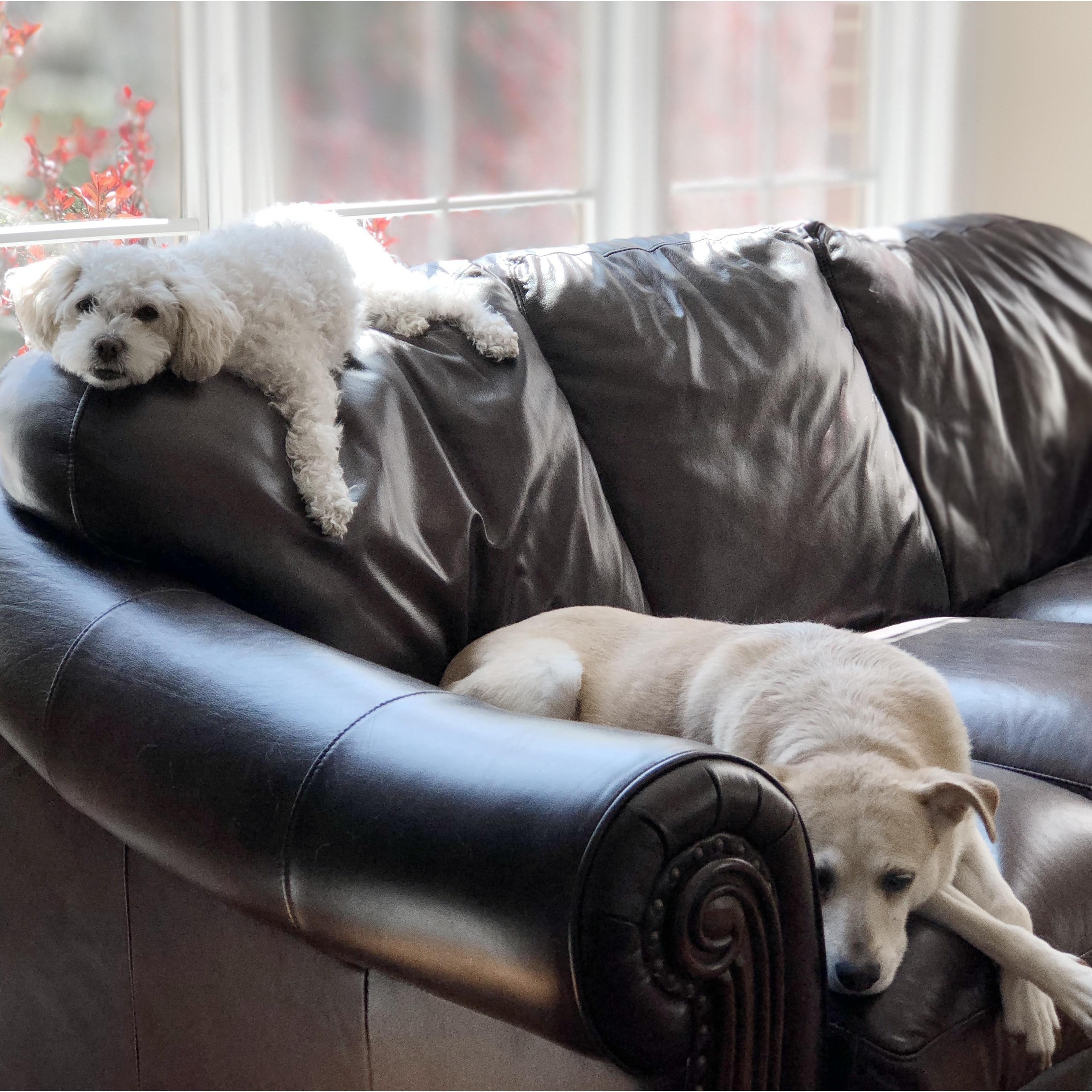 These sisters grew up apart from each other, lived together for a time, convene occasionally for reunions, and will never admit just how much they love each other!